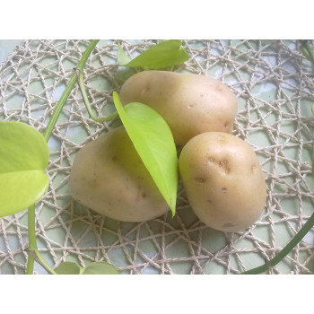 Nové brambory bio 1 kg